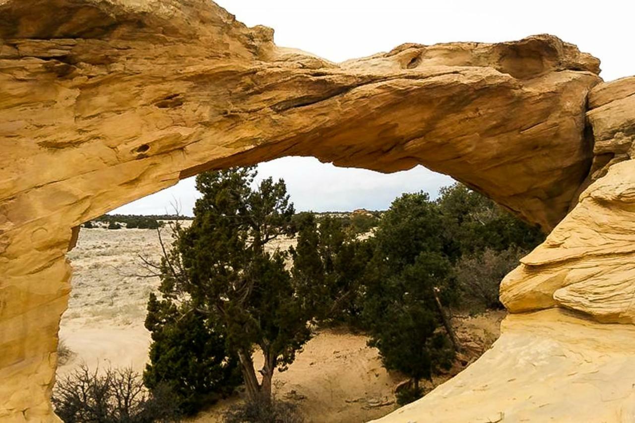 فيلا Cottonwoods موآب المظهر الخارجي الصورة